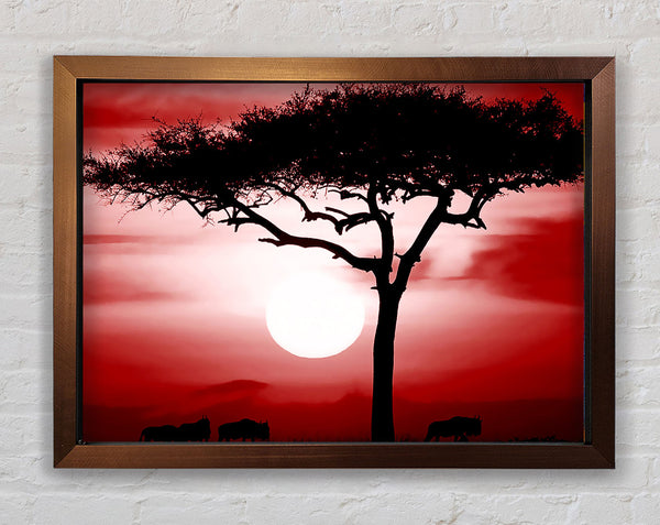 African Safari Red