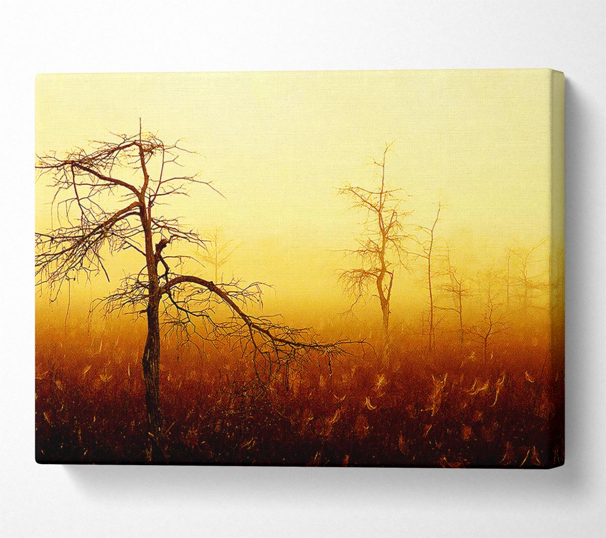 Treeline Mist Canvas - Serene Wall Art for Your Home – Wallart-Direct