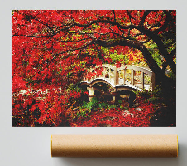 Bridge Over The Red Tree River