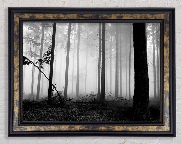 Black n White Woodland Mist