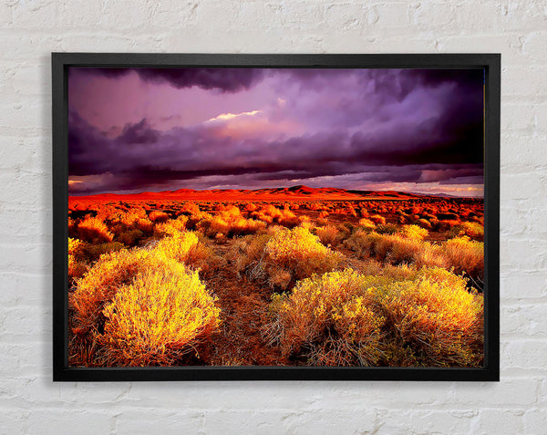 Storm Over Desert