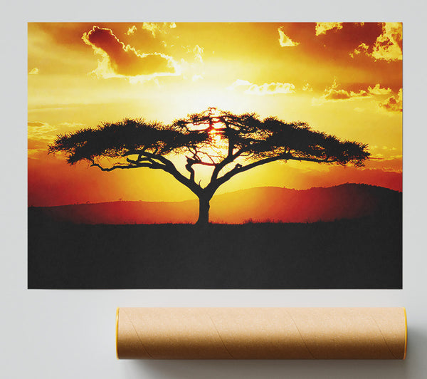 African Tree At Sunset