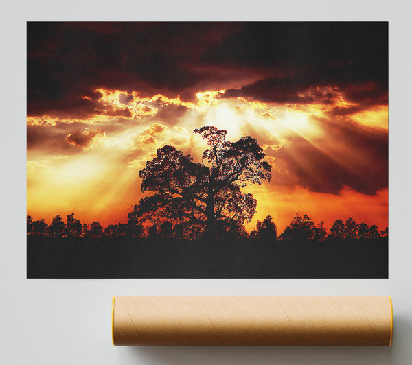 Stunning Cloud Sunrays Over The Morning Tree