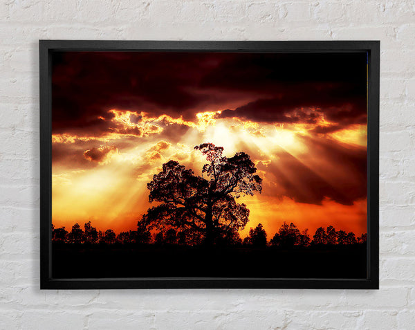 Stunning Cloud Sunrays Over The Morning Tree