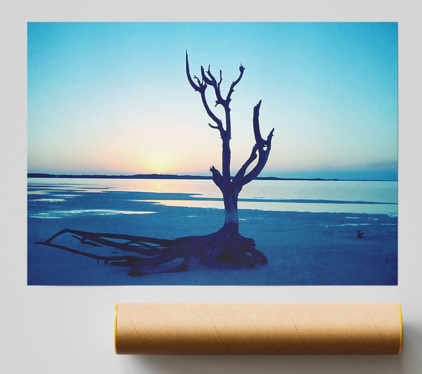 Blue Ocean Driftwood