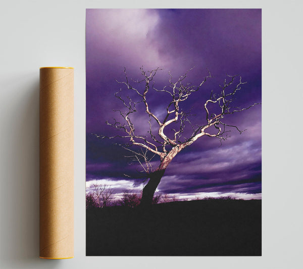 Stunning Purple Night Tree