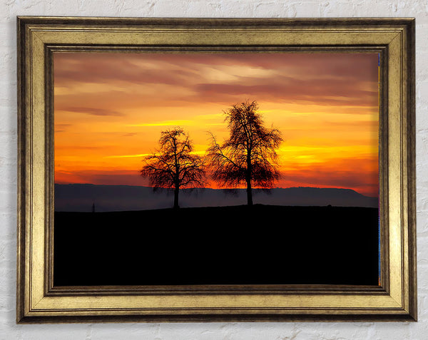 English Countryside At Daybreak