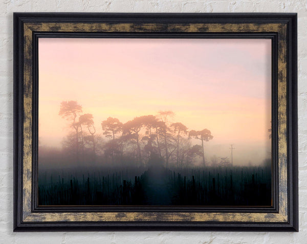 Yorkshire Dales Mist