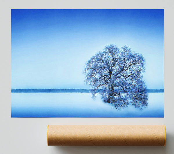 Blue Winter Tree