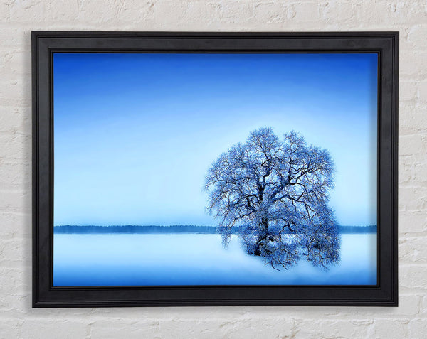 Blue Winter Tree