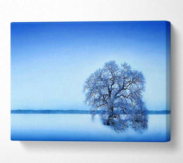 Blue Winter Tree