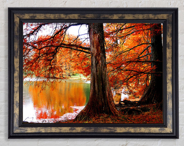 Autumn Orange River Reflections