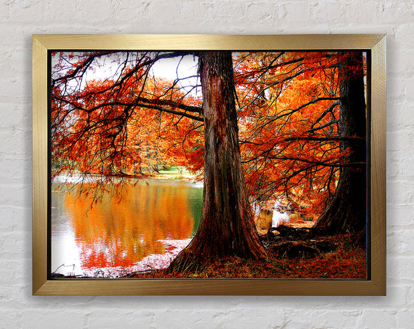 Autumn Orange River Reflections