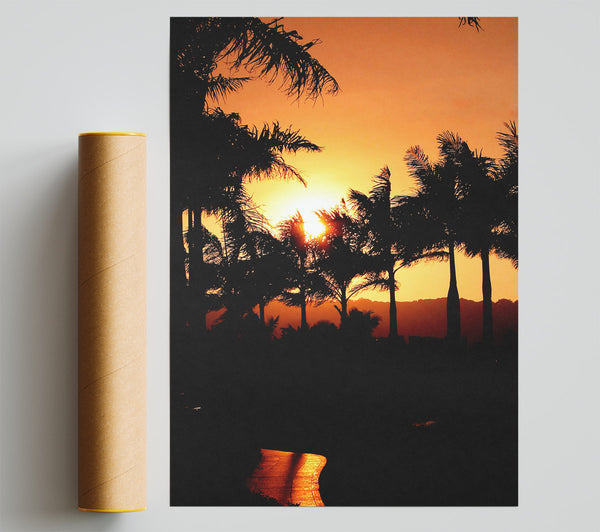 Orange Palm Tree Sun Glow