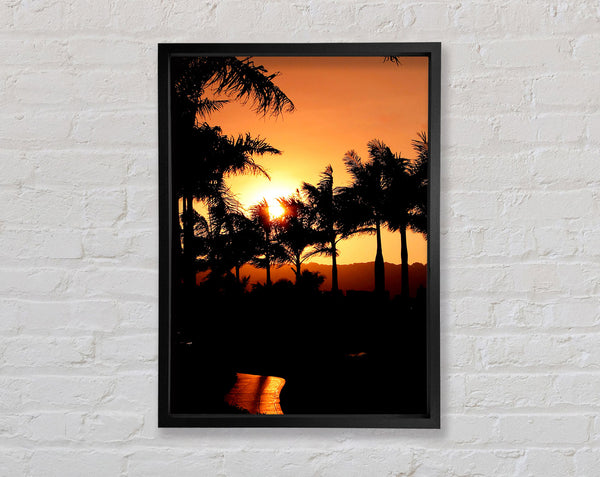 Orange Palm Tree Sun Glow