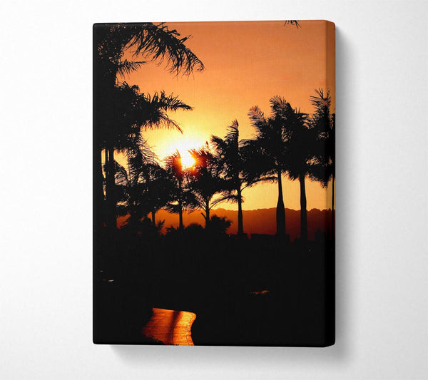 Orange Palm Tree Sun Glow