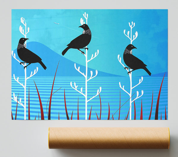 Tui Birds