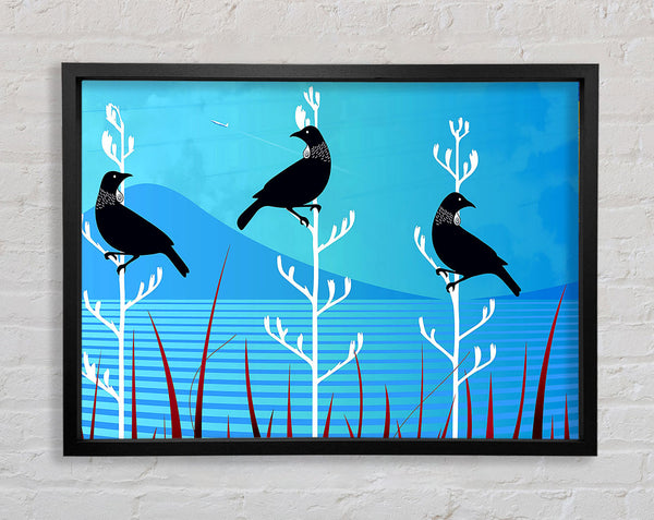 Tui Birds