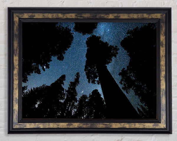 Andromeda And The Milky Way Above The Oregon