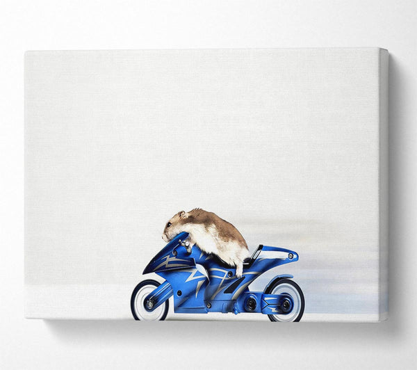 Mouse Riding Motorcycle