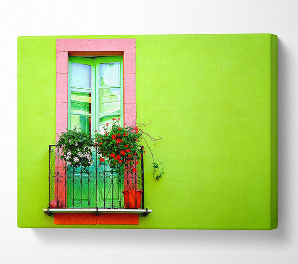 Green Wall Window