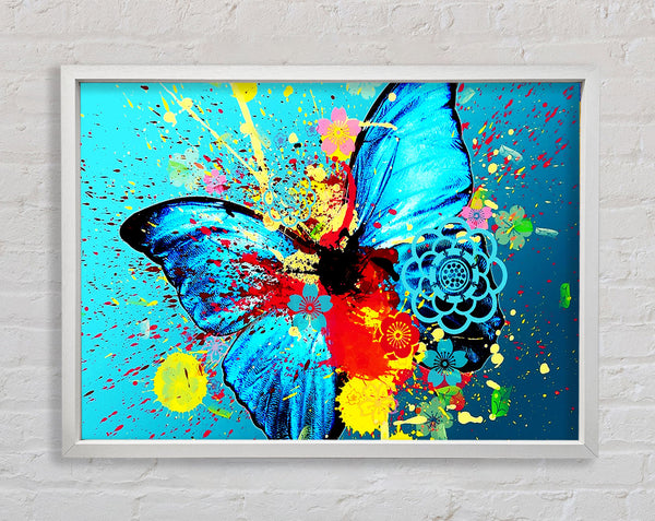 Butterfly Splash