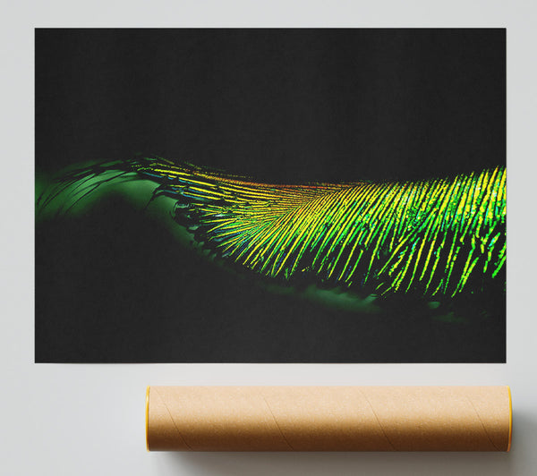 Vibrant Green Feather