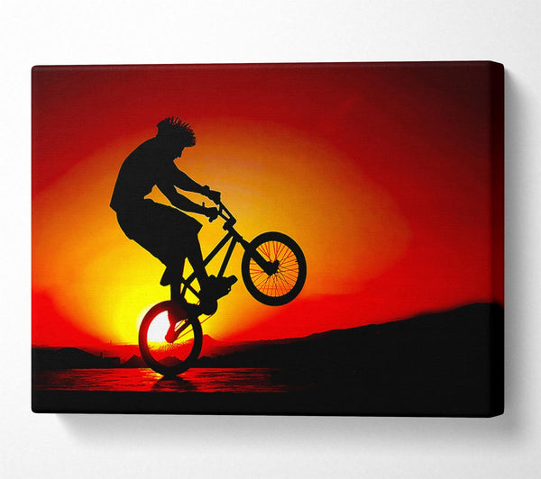 Bmx Back Wheelie In Red Sunlight