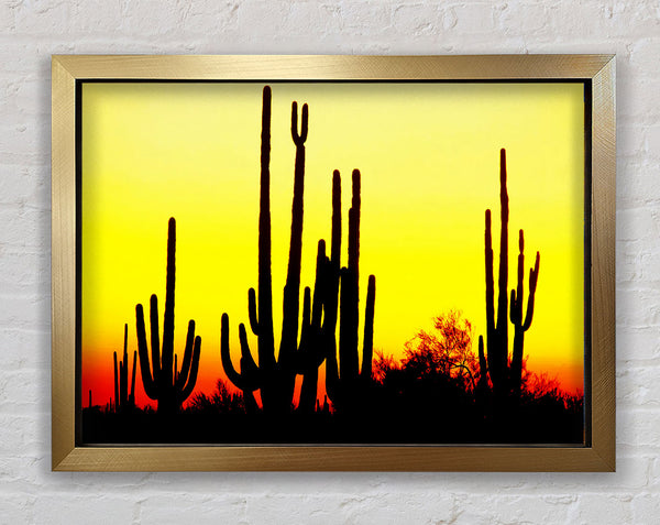 Desert Cactus Sunrise