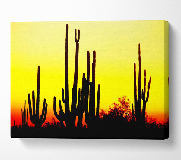 Desert Cactus Sunrise