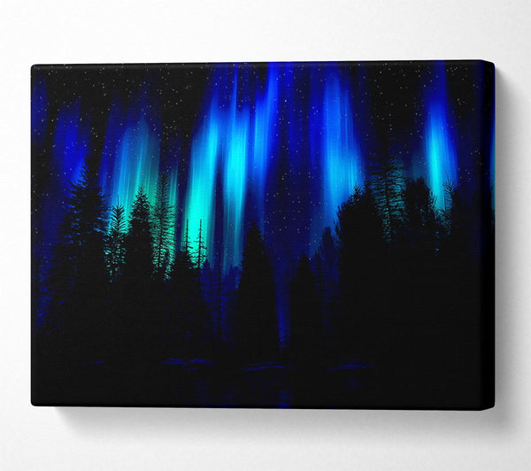 Blue Northern Lights Through The Forest