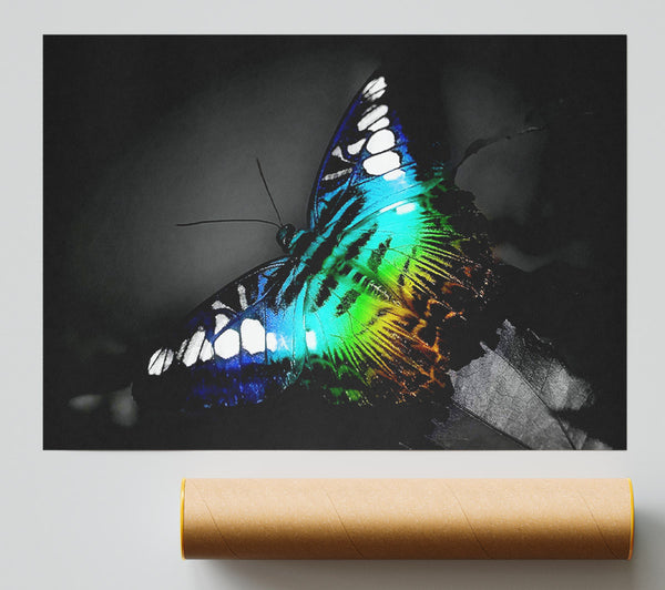 Psychedelic Butterfly 2