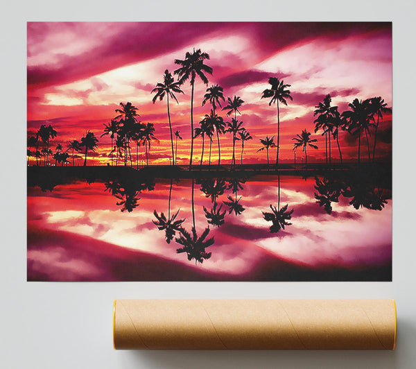 Pink Palm Tree Reflections