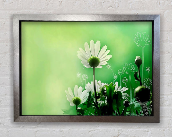 Green Daisy Garden