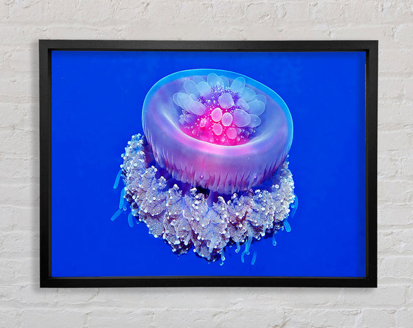 Neon Jellyfish