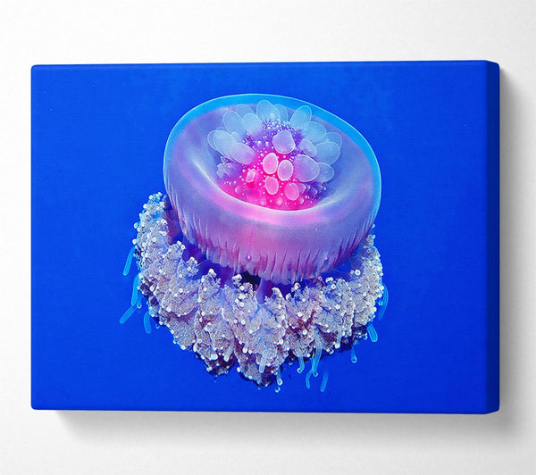 Neon Jellyfish