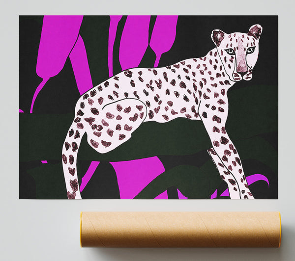 Pink Leopard Spots