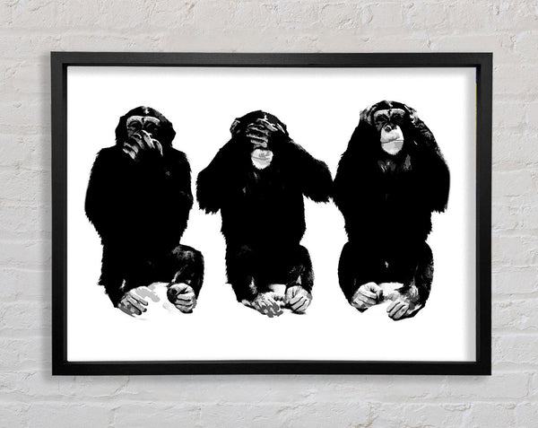 Speak No Evil See No Evil Hear No Evil