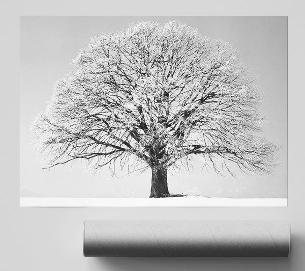 Winter Snow Tree B N W