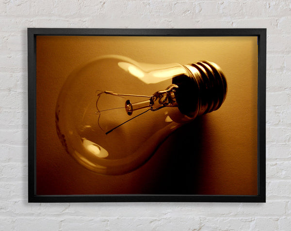 The Light Bulb