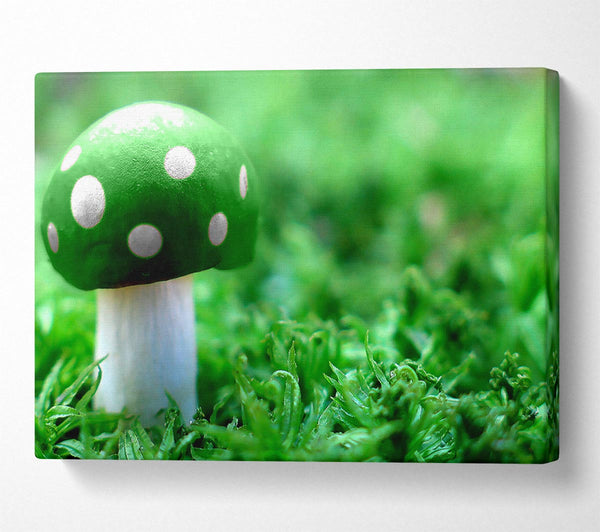 Green Mushroom