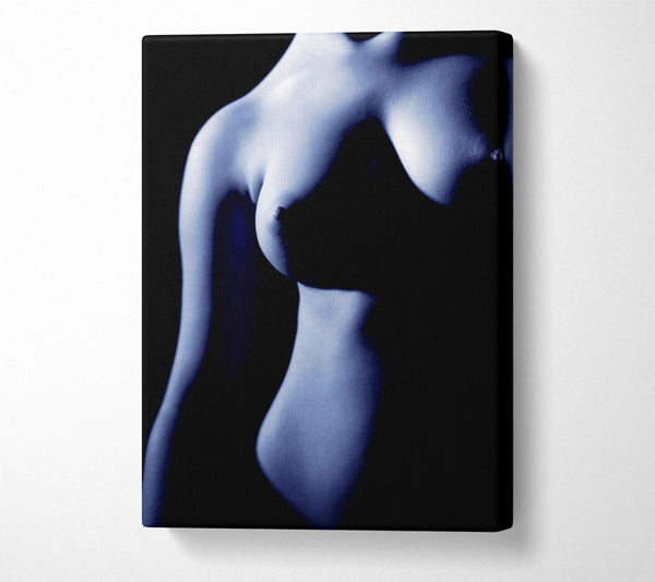 Female Torso Blue