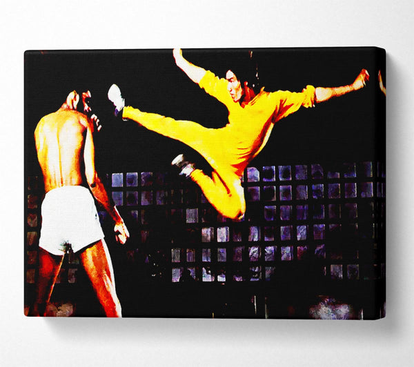 Bruce Lee Flying Kick