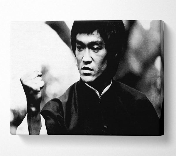 Bruce Lee Power Of One