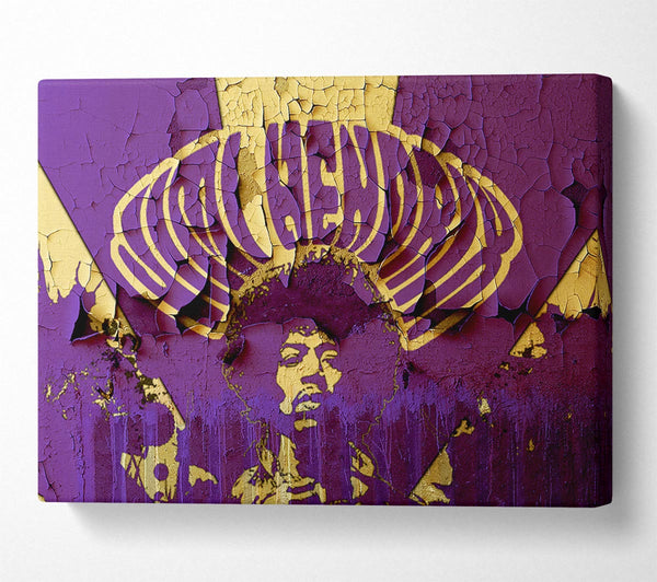 Jimi Hendrix Purple Haze