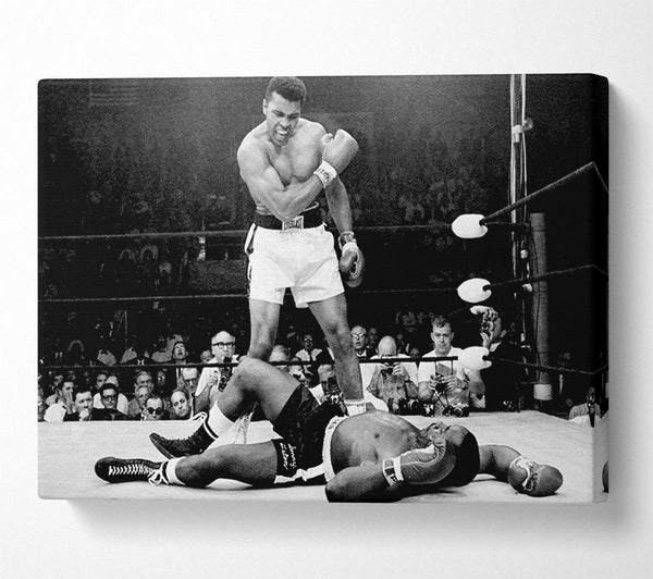 Muhammad Ali Knockout