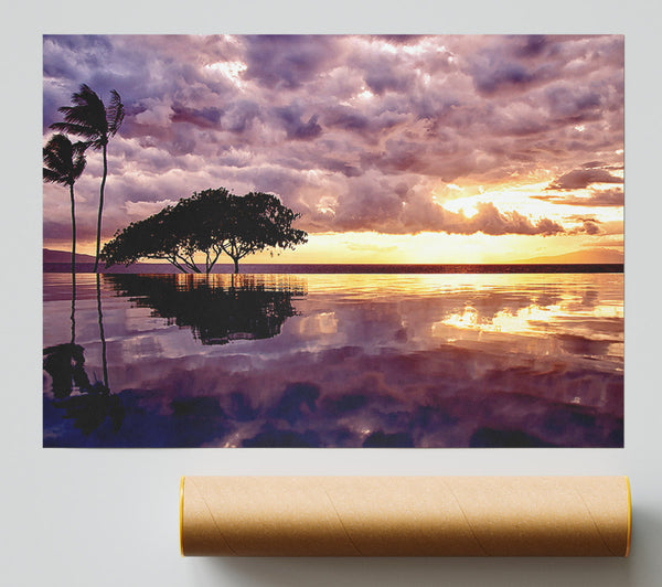 Stunning Tree In The Cloudy Sky Ocean