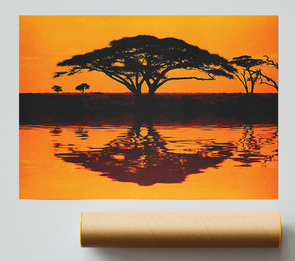 African Tree Reflection