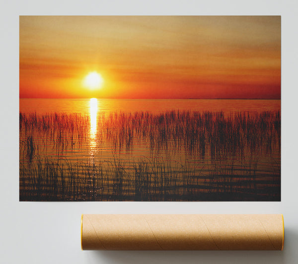 Sunset Over The Oceans Reeds