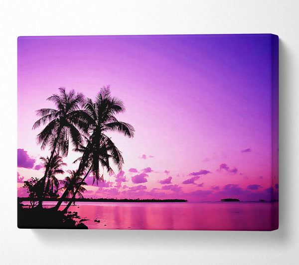 Pink Palm Tree Ocean